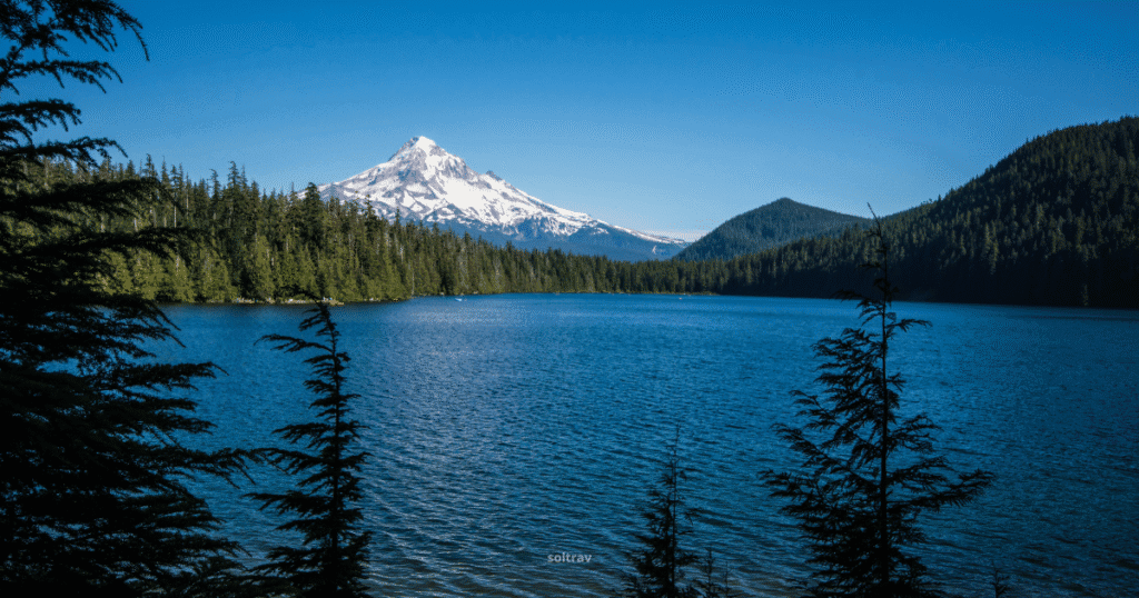 View of Lost Lake in Oregon, with a backdrop of snow-capped Mount Hood under a clear blue sky.
