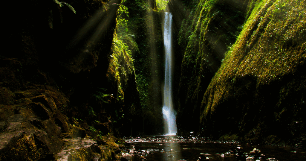 View of Oneonta Gorge in Oregon, featuring a waterfall cascading down a narrow canyon illuminated by rays of sunlight.