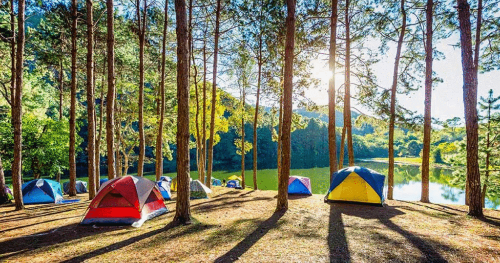 Colorful tents pitched under tall pine trees near a calm lake, with sunlight streaming through the forest in Peloponnese, Greece.