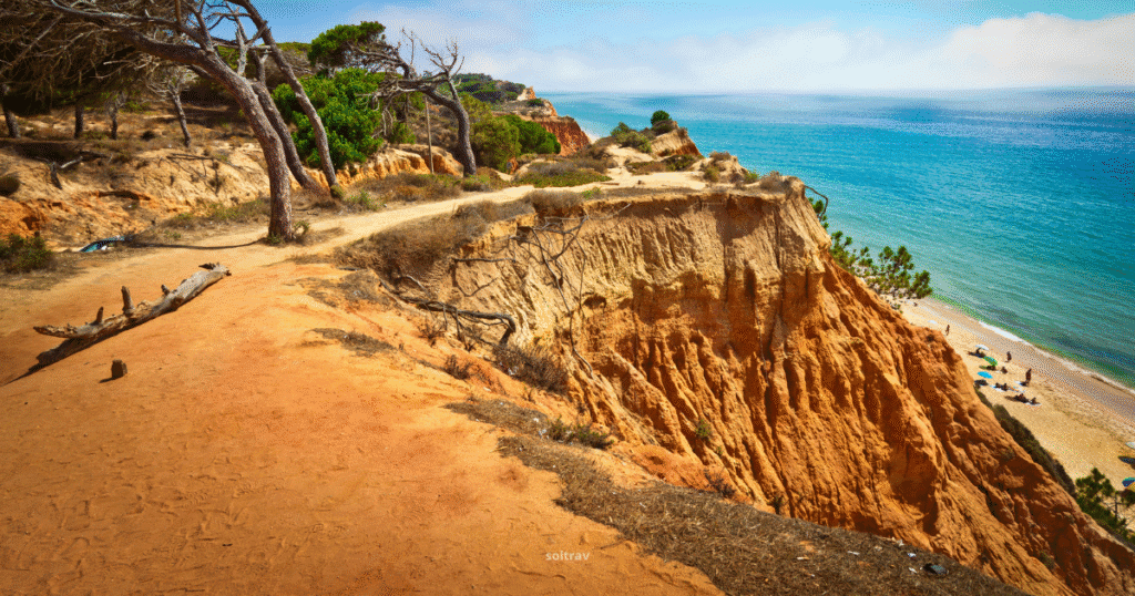 Dramatic ochre cliffs overlooking a turquoise sea in the Algarve, Portugal, with a narrow trail, pine trees, and a beach with sunbathers below.