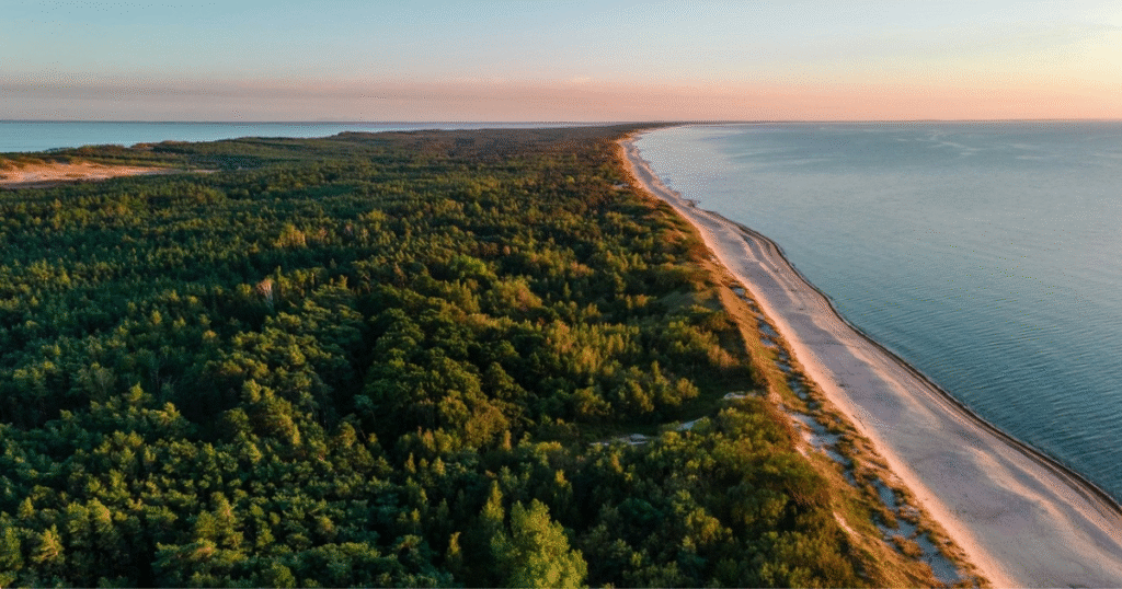 Aerial view of a lush coastal forest meeting the sandy beach along the Baltic Coast in Poland, under a soft sunset sky.