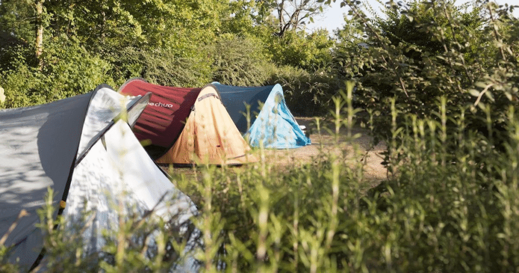 A secluded campsite with several colorful tents nestled among lush greenery in the Loire Valley, France.
